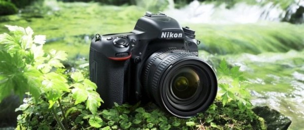 ТОП 10 лучших фотоаппаратов Nikon, выбираем Никон для профессиональных фото ТОП 10 лучших фотоаппаратов Nikon, выбираем Никон для профессиональных фото
