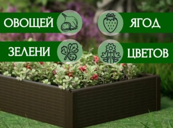 Рейтинг лучших готовых грядок и садовых ограждений для огорода на 2025 год Рейтинг лучших готовых грядок и садовых ограждений для огорода на 2025 год