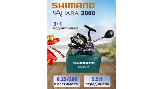Лучшие катушки Shimano для рыбалки в 2025 году: топ-20 по цене/качеству Лучшие катушки Shimano для рыбалки в 2025 году: топ-20 по цене/качеству