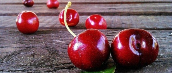 Топ-10 лучших сортов вишни, выбираем хорошие саженцы вишни Топ-10 лучших сортов вишни, выбираем хорошие саженцы вишни