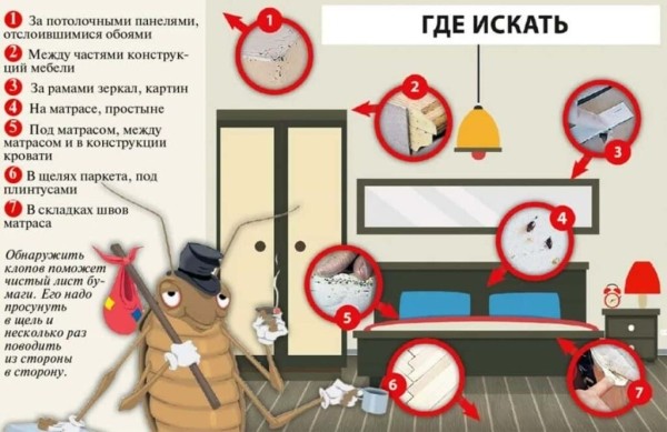 Рейтинг лучших служб дезинфекции от клопов и тараканов в Москве на 2025 год Рейтинг лучших служб дезинфекции от клопов и тараканов в Москве на 2025 год