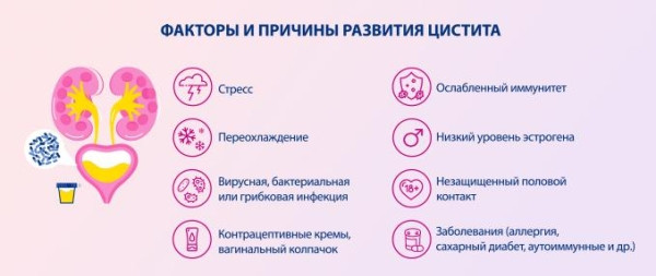 ТОП-8 лучших средств от цистита, обзор лекарств при цистите