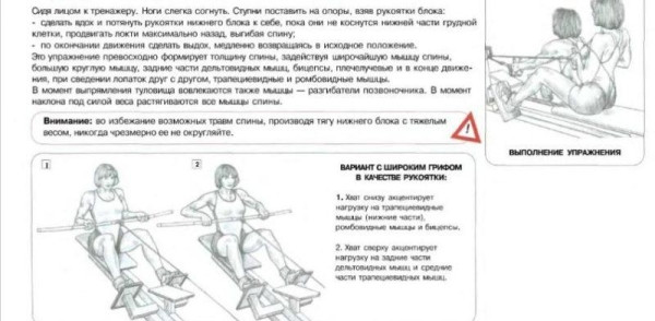 Лучшие упражнения для набора мышечной массы