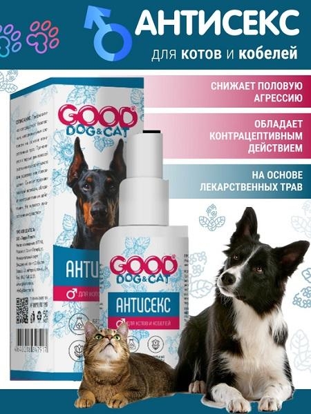 Рейтинг средств от гуляния кошек: кошке нужен кот &ndash; как с этим бороться?